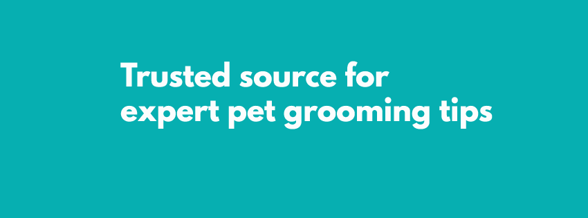 Self Pet Grooming