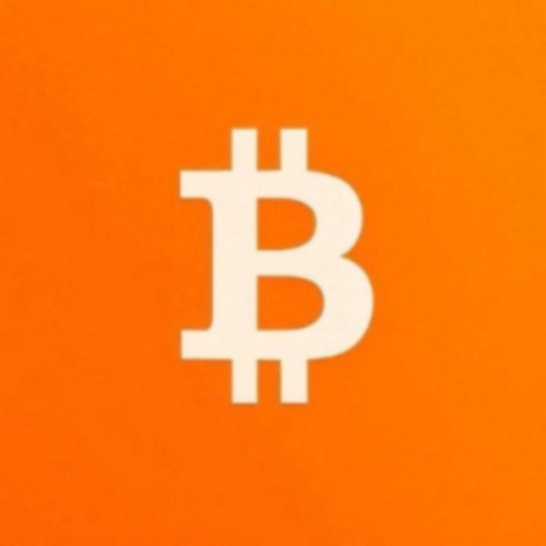 BTCBitByBit App logo